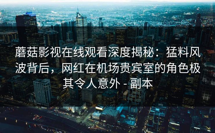 蘑菇影视在线观看深度揭秘:猛料风波背后,网红在机场贵宾室的角色极其令人意外 - 副本